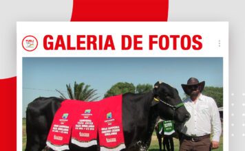 📷Galería de fotos | Quinto remate Girolando Nacional