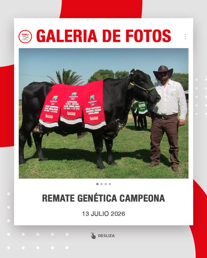 Quinto-remate-Girolando-Nacional0.jpg