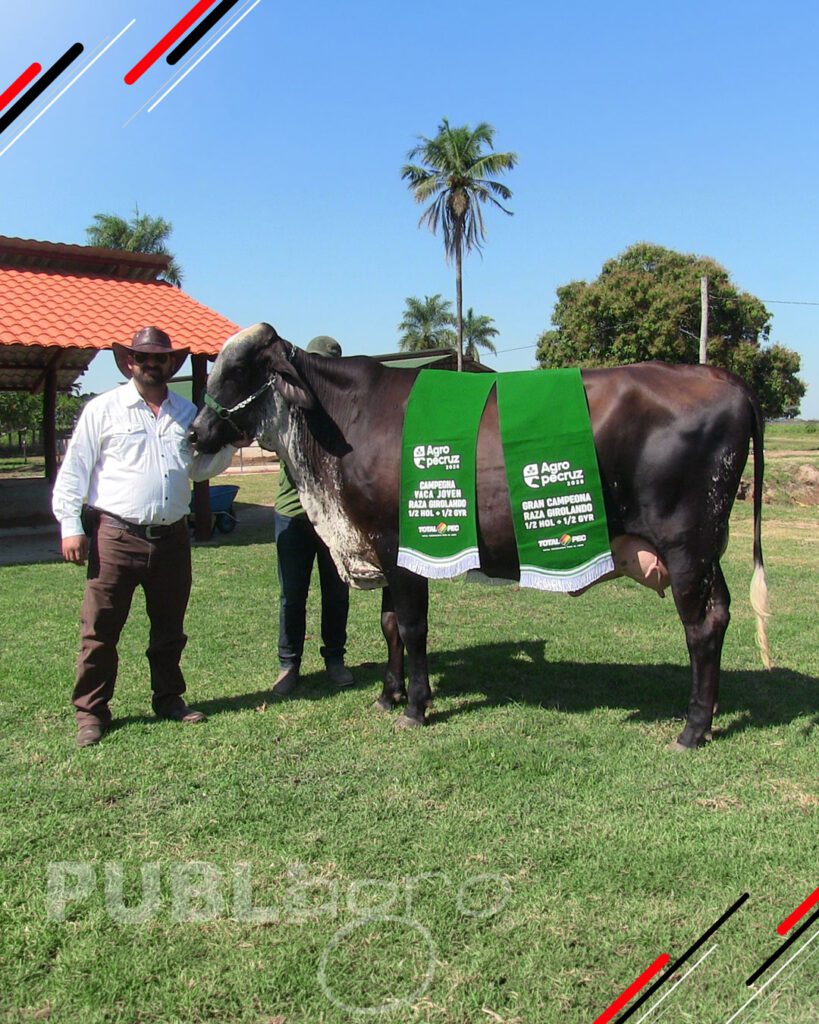 Quinto-remate-Girolando-Nacional7