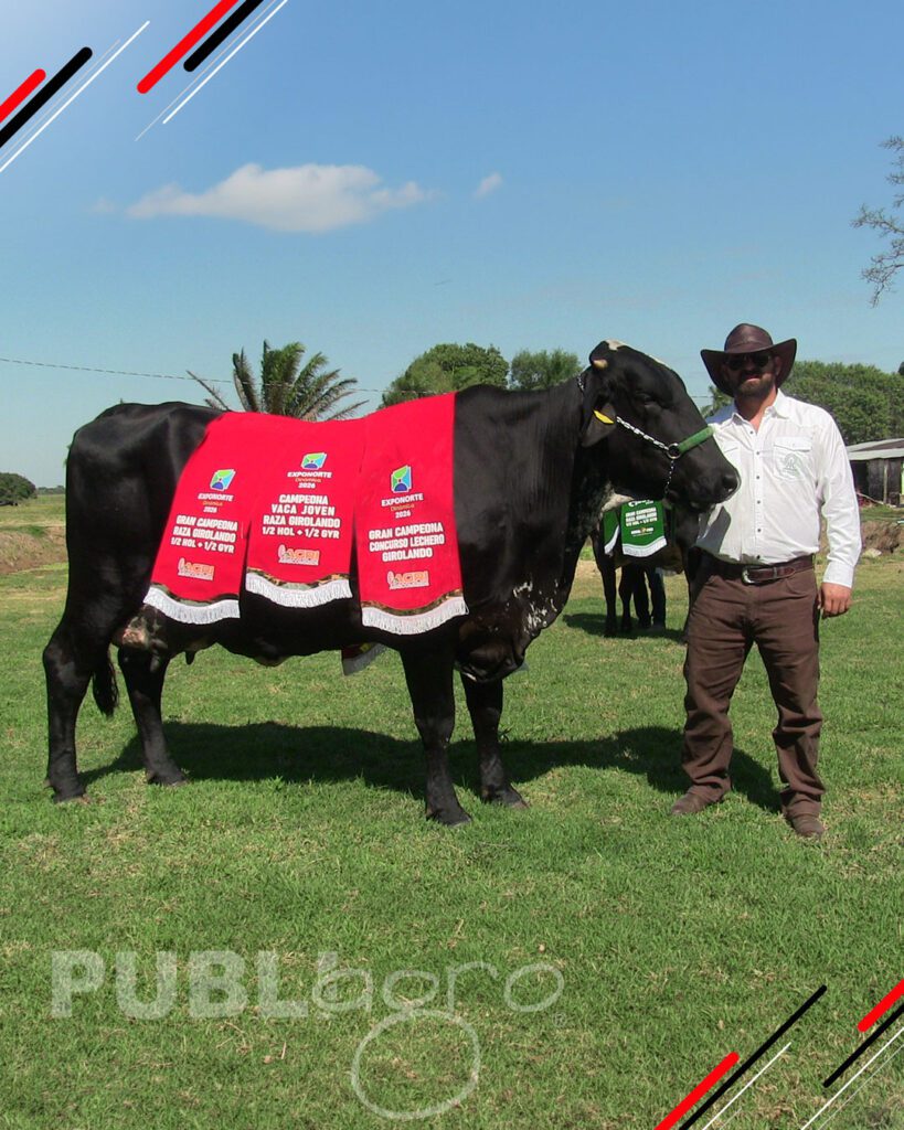 Quinto-remate-Girolando-Nacional8