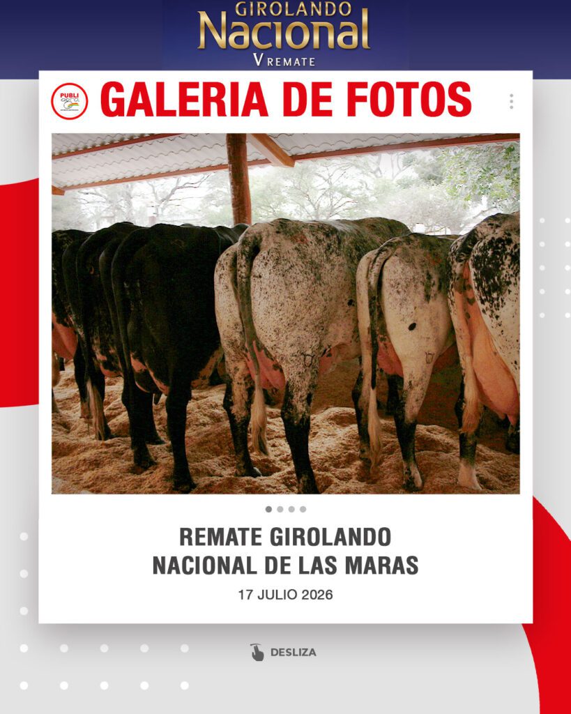 Remate-Girolando-Nacional-de-Las-Maras0
