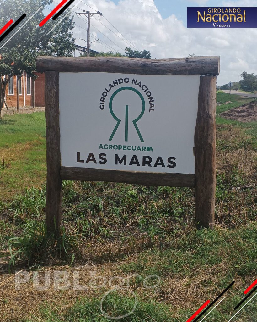 Remate-Girolando-Nacional-de-Las-Maras1