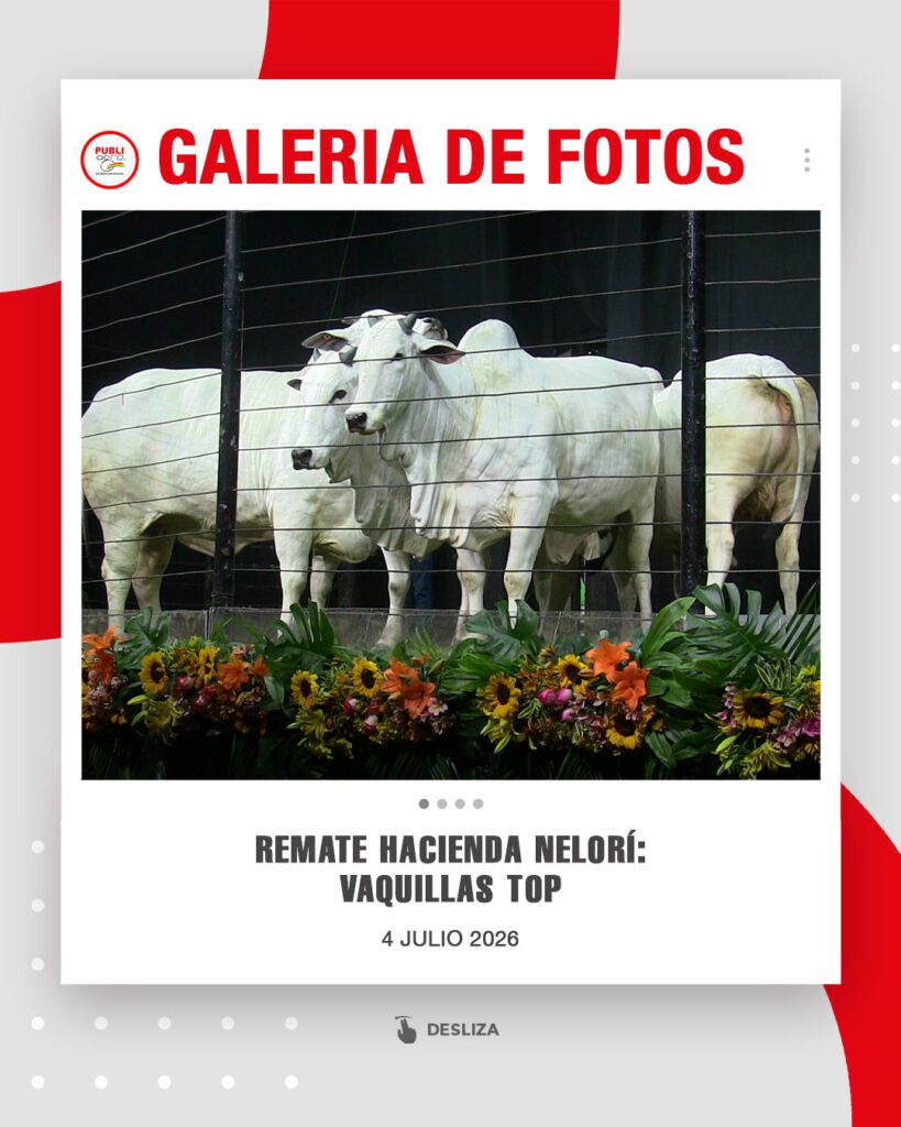 Remate-Hacienda-Nelorí0