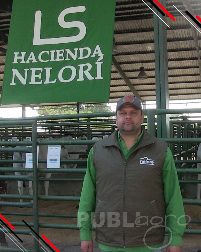 Remate-Hacienda-Nelorí1