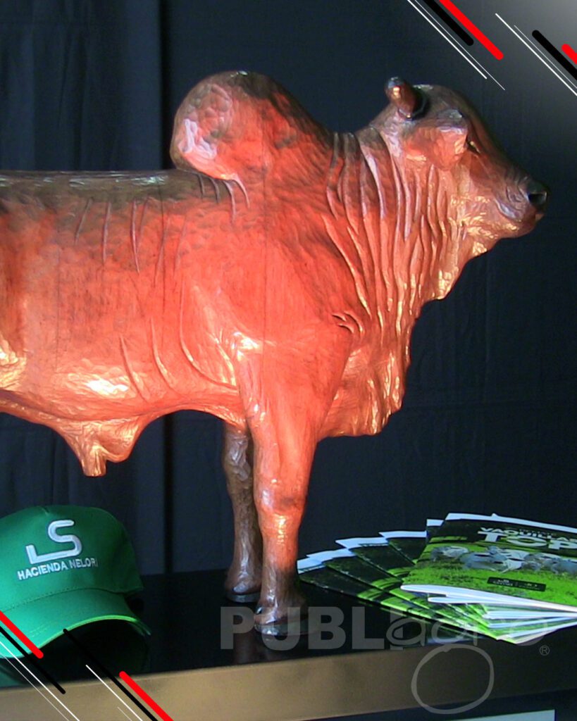 Remate-Hacienda-Nelorí36