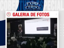 📷Galería de fotos | 15% que define el negocio