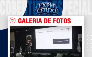 📷Galería de fotos | 15% que define el negocio
