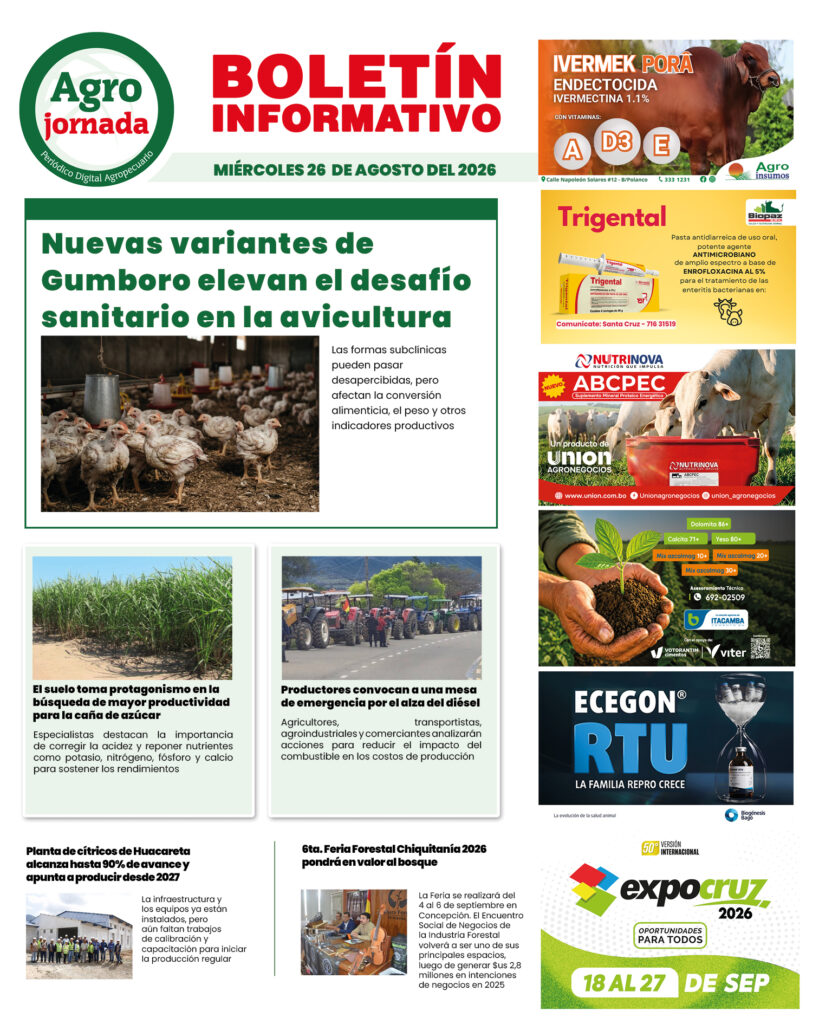 BOLETÍN AGROJORNADA 26:08:26