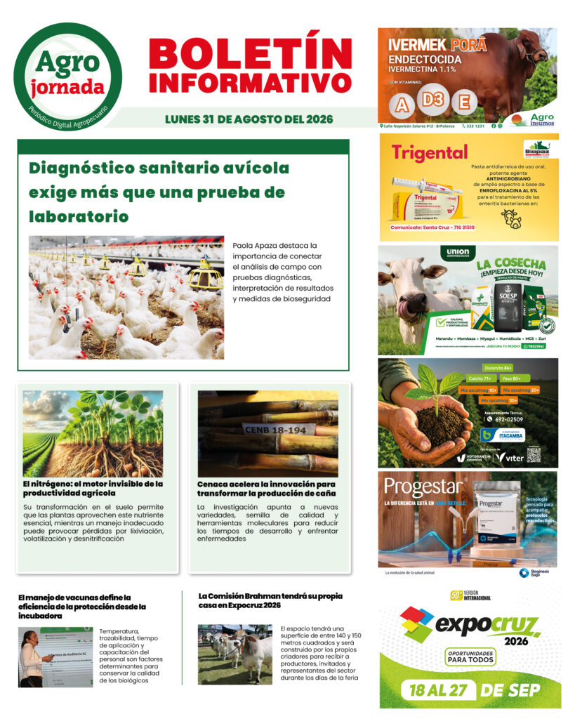 BOLETÍN AGROJORNADA 31:08:26