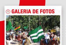 馃摲Galer铆a de fotos | Cabalgata Fegabeni