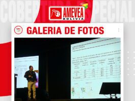 📷Galería de fotos | Calidad de materias primas