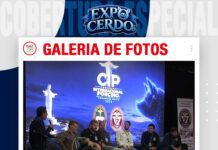 📷Galería de fotos | Congreso Internacional Porcino 2026