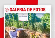 📷Galería de fotos | Congreso de Agricultura Sostenible