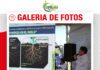 📷Galería de fotos | Corrección de suelo