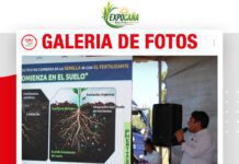 📷Galería de fotos | Corrección de suelo