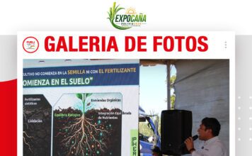 📷Galería de fotos | Corrección de suelo