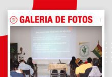 📷Galería de fotos | Curso reproductivo y productivo de granjas porcinas