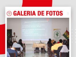 📷Galería de fotos | Curso reproductivo y productivo de granjas porcinas