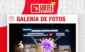 📷Galería de fotos | El Gumboro en la Avicultura
