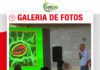 📷Galería de fotos | El Silicio, el elemento olvidado