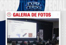 📷Galería de fotos | Epidemiología y control de Glaesserella