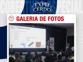 📷Galería de fotos | Epidemiología y control de Glaesserella