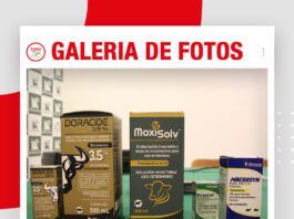 📷Galería de fotos | Estrategias en sanidad bovina