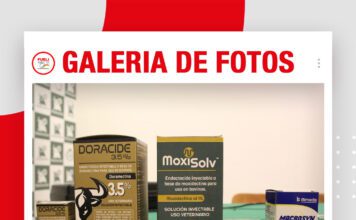 📷Galería de fotos | Estrategias en sanidad bovina