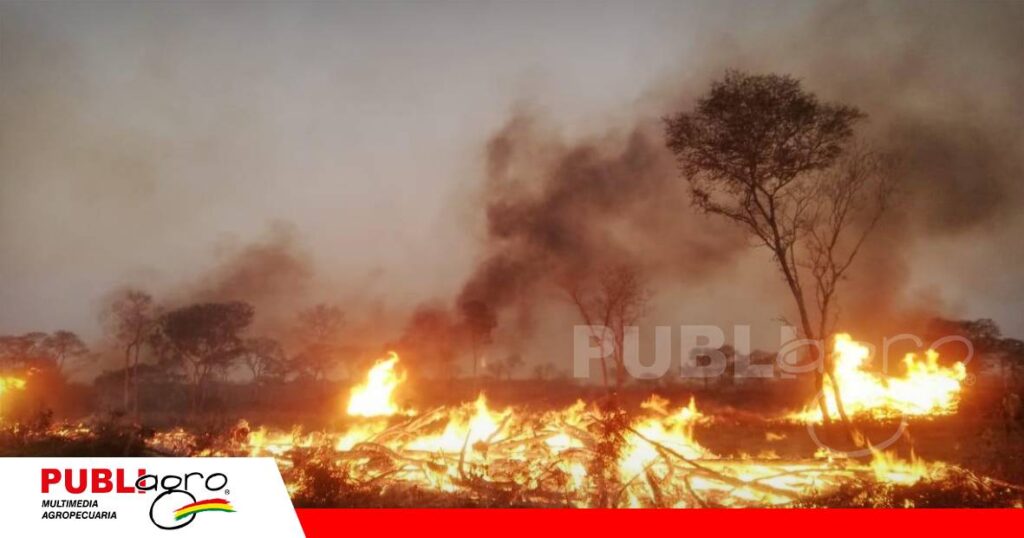 Los chaqueos y las quemas para habilitar tierras agrícolas figuran entre los factores asociados al incremento de incendios forestales en Bolivia / Foto: laregion