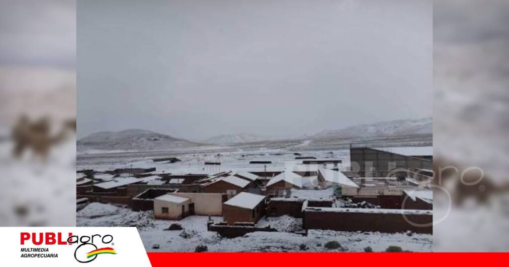 Quetena Chico bajo nieve/ Foto: Internet