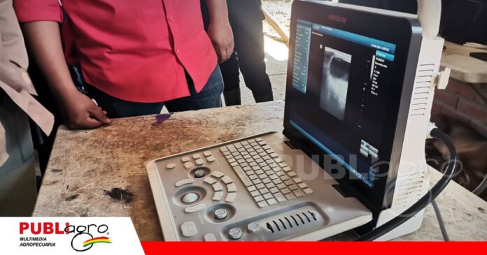 Ecografía reproductiva mejora el diagnóstico/ Foto: Publiagro