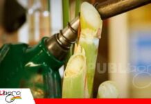 Observan que la nueva ley de Hidrocarburos debe contemplar al etanol Cañeros piden que se contemple etanol en la nueva ley de Hidrocarburos/ Foto: Internet