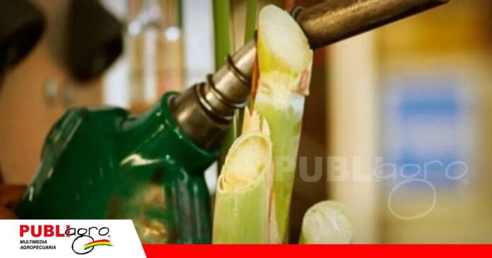 FOTO NOTAS WEB (12) Cañeros piden que se contemple etanol en la nueva ley de Hidrocarburos/ Foto: Internet