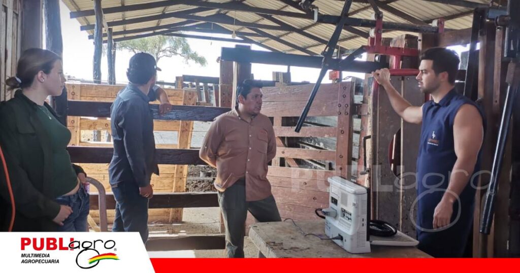 La ecografía transforma el manejo reproductivo del ganado/ Foto: Publiagro