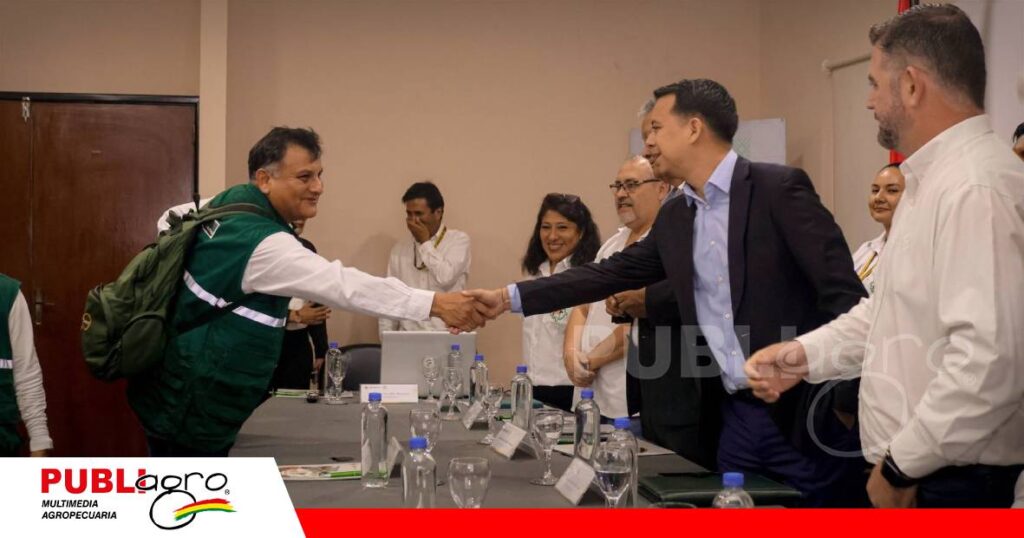 Bolivia busca habilitar un nuevo mercado para su fibra de algodón/ Foto: Senasag