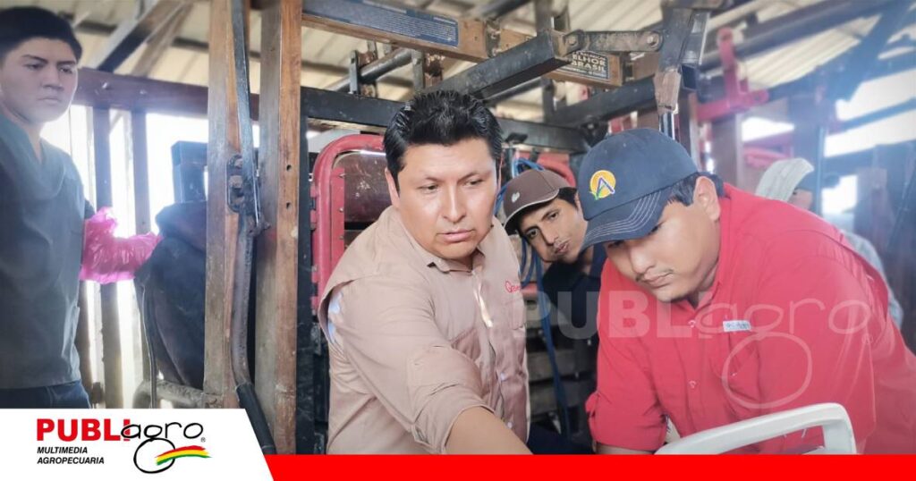 La tecnología permite detectar vacas preñadas y vacías desde los 30 días/ Foto: Publiagro