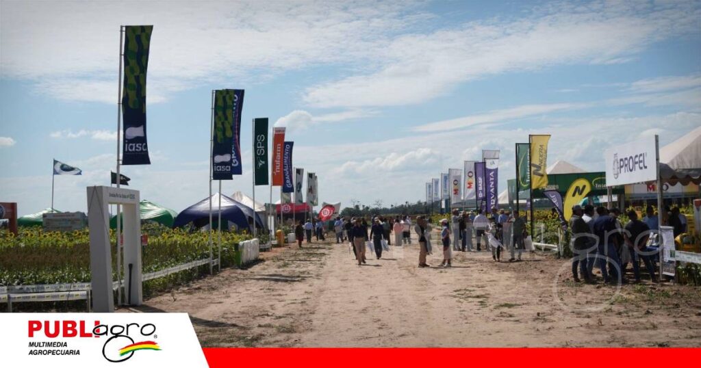 Un año más de éxito en el Día Nacional del Girasol/ Foto: Publiagro