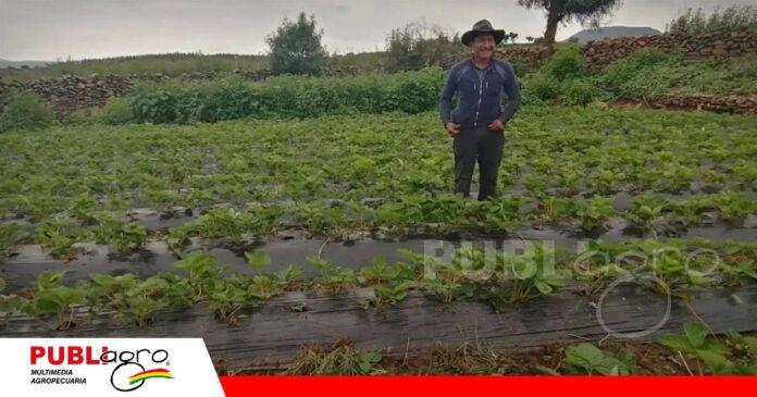 El sector asegura que los 50 litros mensuales no cubren demandas agrícolas/ Foto: Internet
