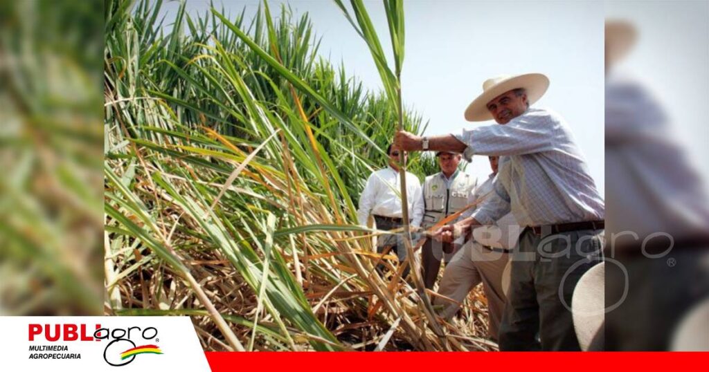Productores de Bermejo reclaman mayor cupo de combustible/ Foto: Internet