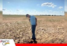EMAPA toma previsiones para proteger el abastecimiento ante El Niño Prevención alimentaria frente al “Súper Niño”/ Foto: Internet