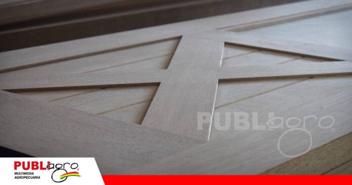 FOTO NOTAS WEB - 2026-08-12T191826.860 Análisis periciales descartan droga en cargamento de madera/ Foto: CFB