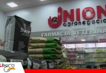 Unión Agronegocios abre su preventa de semillas para la planificación de potreros Semilla y asesoramiento, Unión Agronegocios acompaña al productor/ Foto: Publiagro