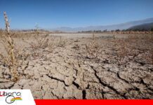 Eduardo Sierra descarta, por ahora, un “súper Niño” extremo para Bolivia El impacto sobre Bolivia no sería tan severo como se anuncia/ Foto: Internet
