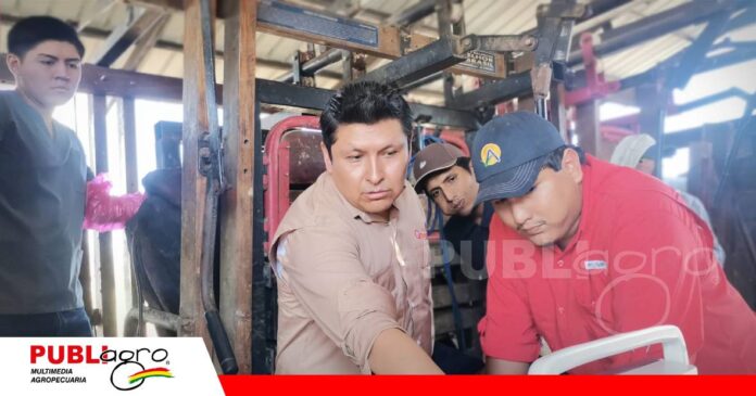 FOTO NOTAS WEB - 2026-08-18T130745.040 De la ecografía a la aspiración folicular/ Foto: Publiagro