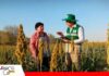 Oportunidad laboral: INE abre reclutamiento para el Censo Agropecuario; conozca los requisitos Buscan jefes de brigada y empadronadores/ Foto: Internet