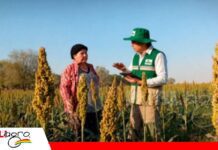 Oportunidad laboral: INE abre reclutamiento para el Censo Agropecuario; conozca los requisitos Buscan jefes de brigada y empadronadores/ Foto: Internet