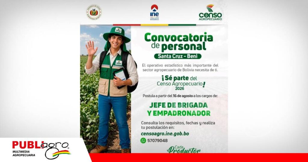 La convocatoria comenzó el 16 de agosto/ Foto: INE