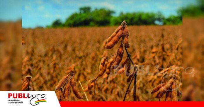 El impacto del precio del diésel caerá sobre los precios de los alimentos/ Foto: Internet