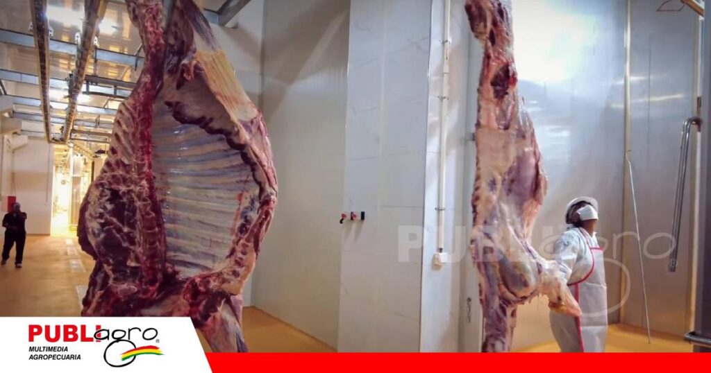 Ballivian trabaja para la exportación de carne/ Foto: Internet