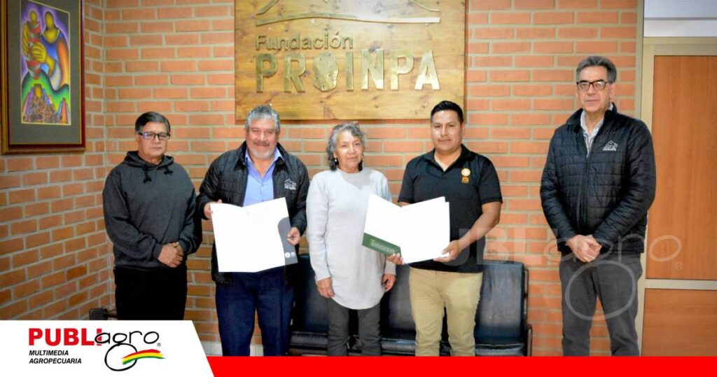 PROINPA registra nueva variedad de quinua/ Foto: PROINPA Archivo